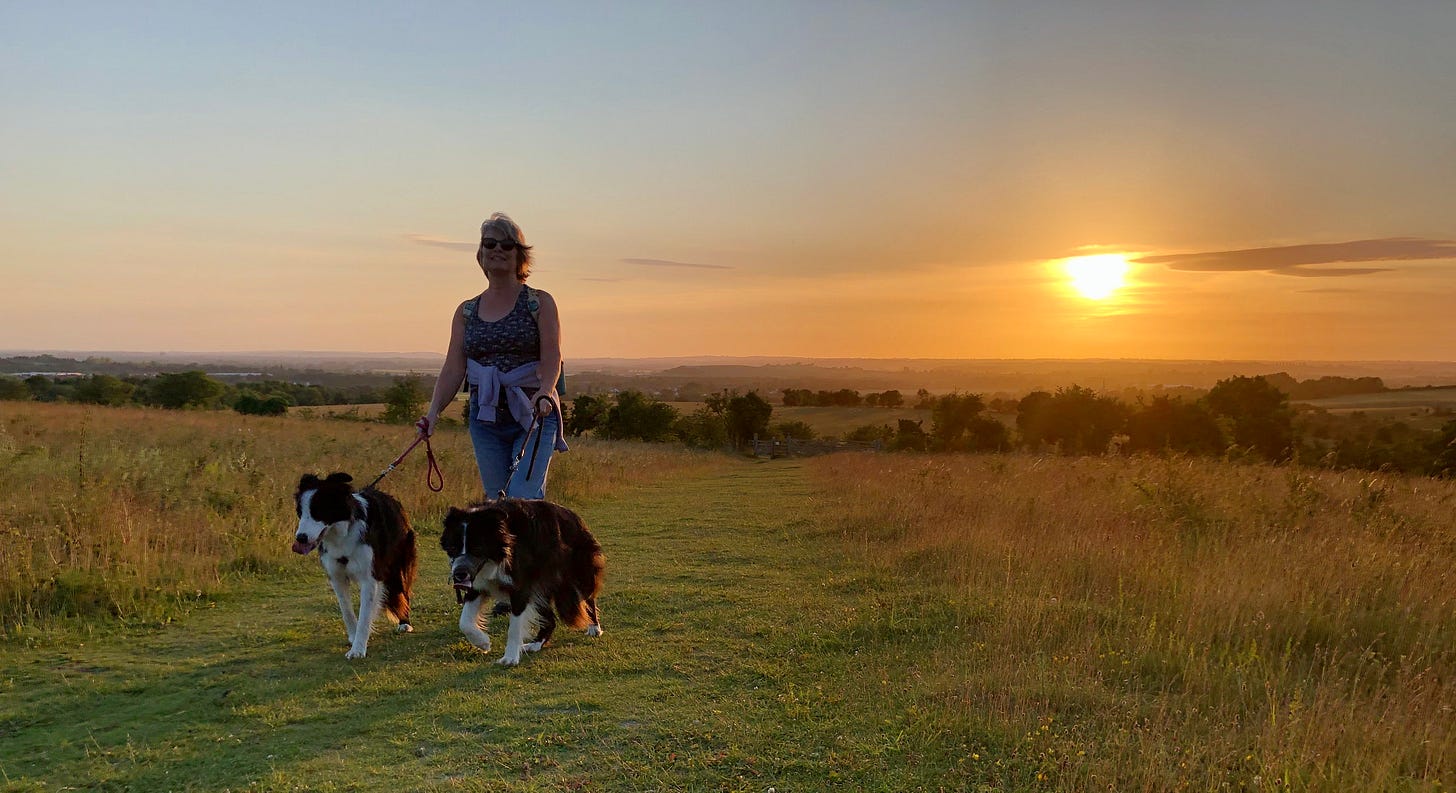 A women walks with two border collies as the sunsets