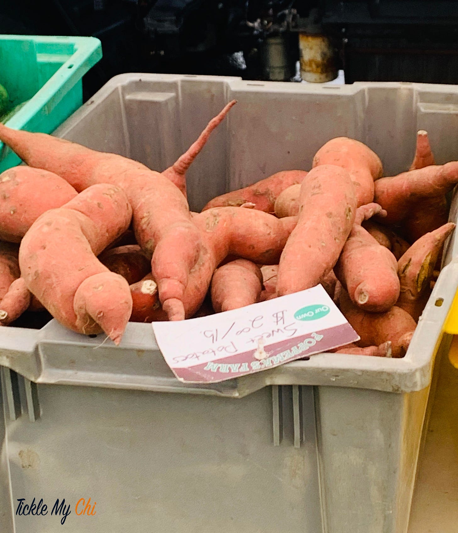 sweetpotato-1 sweetpotato-1