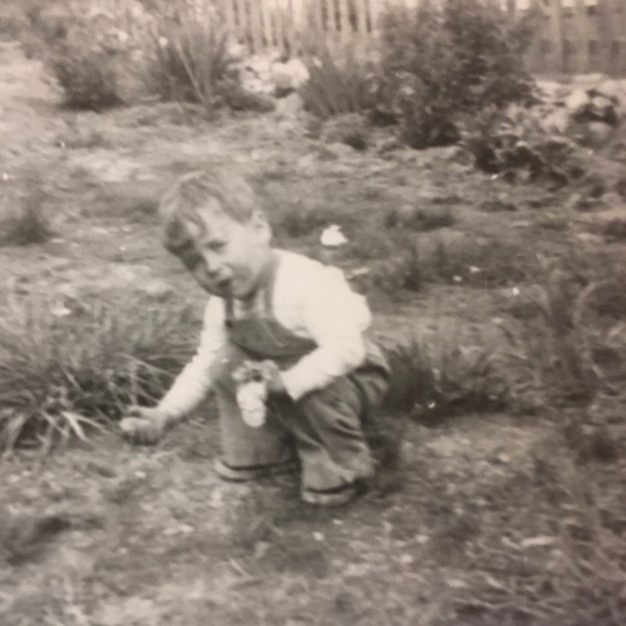 Artwork for Oh Dirty Feet: Notes From a Gardener