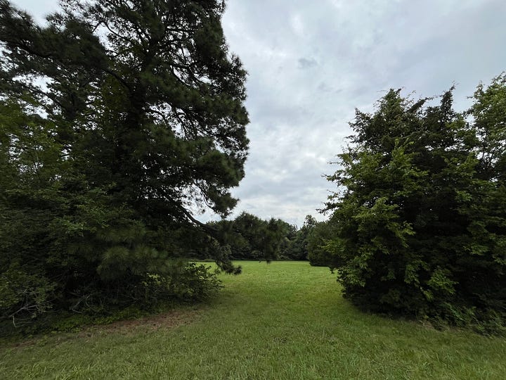 pictures of undeveloped field