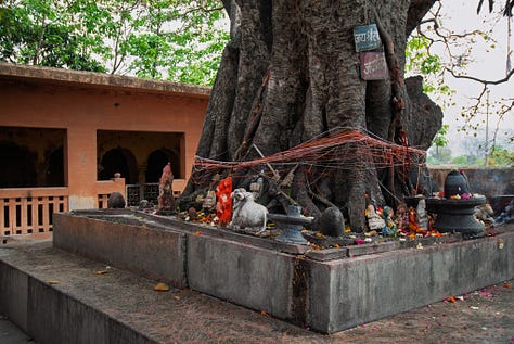 A few photos at the Harihar Ashram