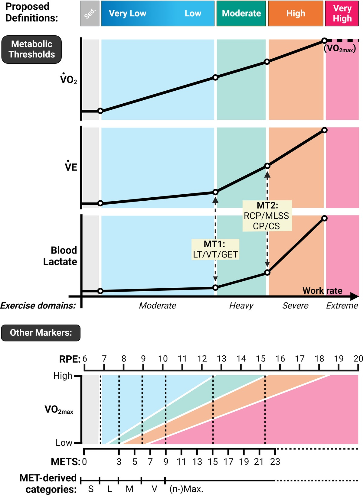 Exercise Intensity Benchmarks A New Guide to Training Intensity - Karolina Attri