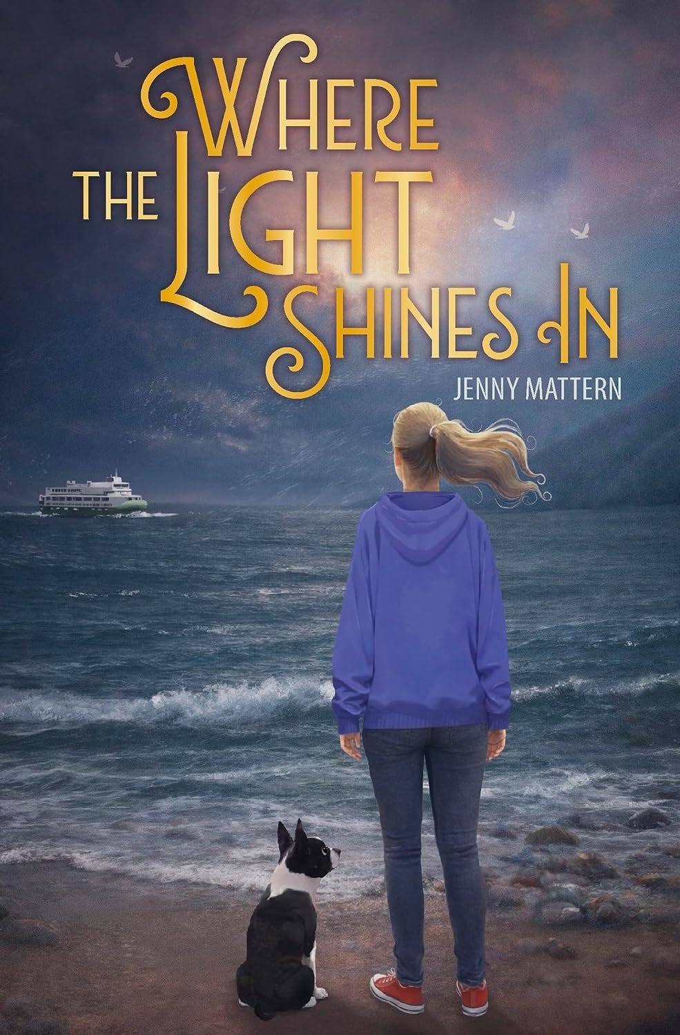 book cover "Where the Light Shines In" 