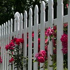 028: Marcel Duchamp, grocery lists, and color theory