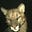 el puma's avatar
