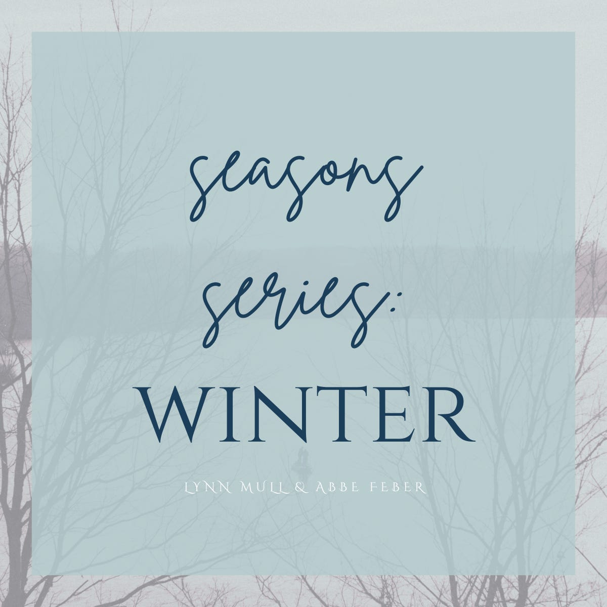 Seasons Series: Wintering With Abbe Feber &Raquo; Https%3A%2F%2Fsubstack Post Media.s3.Amazonaws.com%2Fpublic%2Fimages%2F3330F0D8 43A9 4E47 8B1A