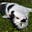 Liz Smith's avatar