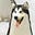 Peng Wolf's avatar