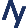Andrew Yang Newsletter