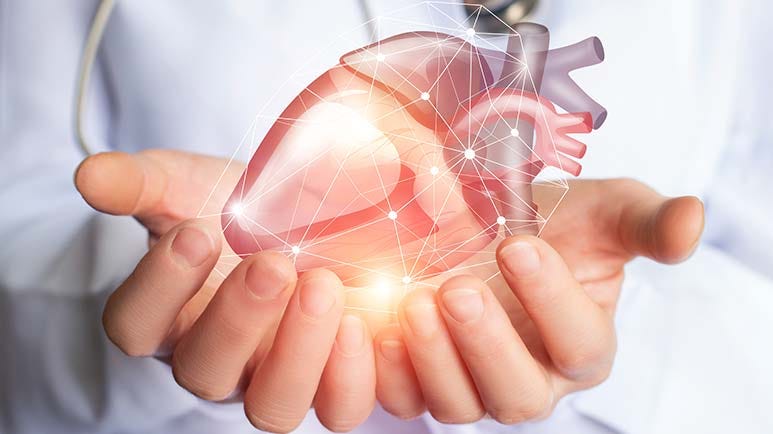 magnesium for a healthy heart