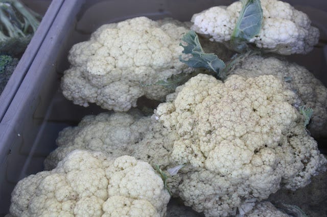 Goodman cauliflower