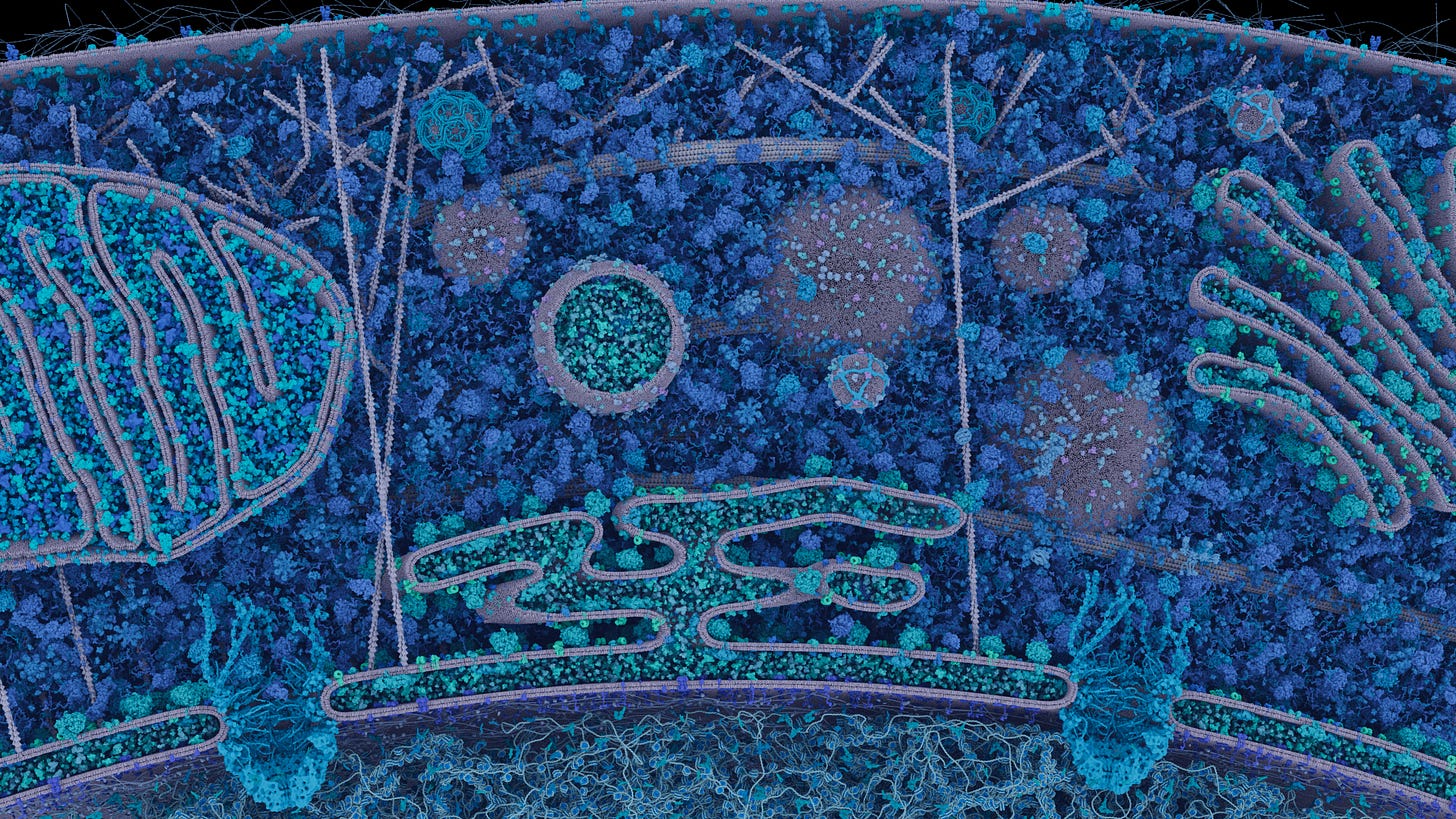 Eukaryotic cell landscape highlighting individual proteins and lipid compartments, all in shades of blue Eukaryotic cell landscape highlighting individual proteins and lipid compartments, all in shades of blue