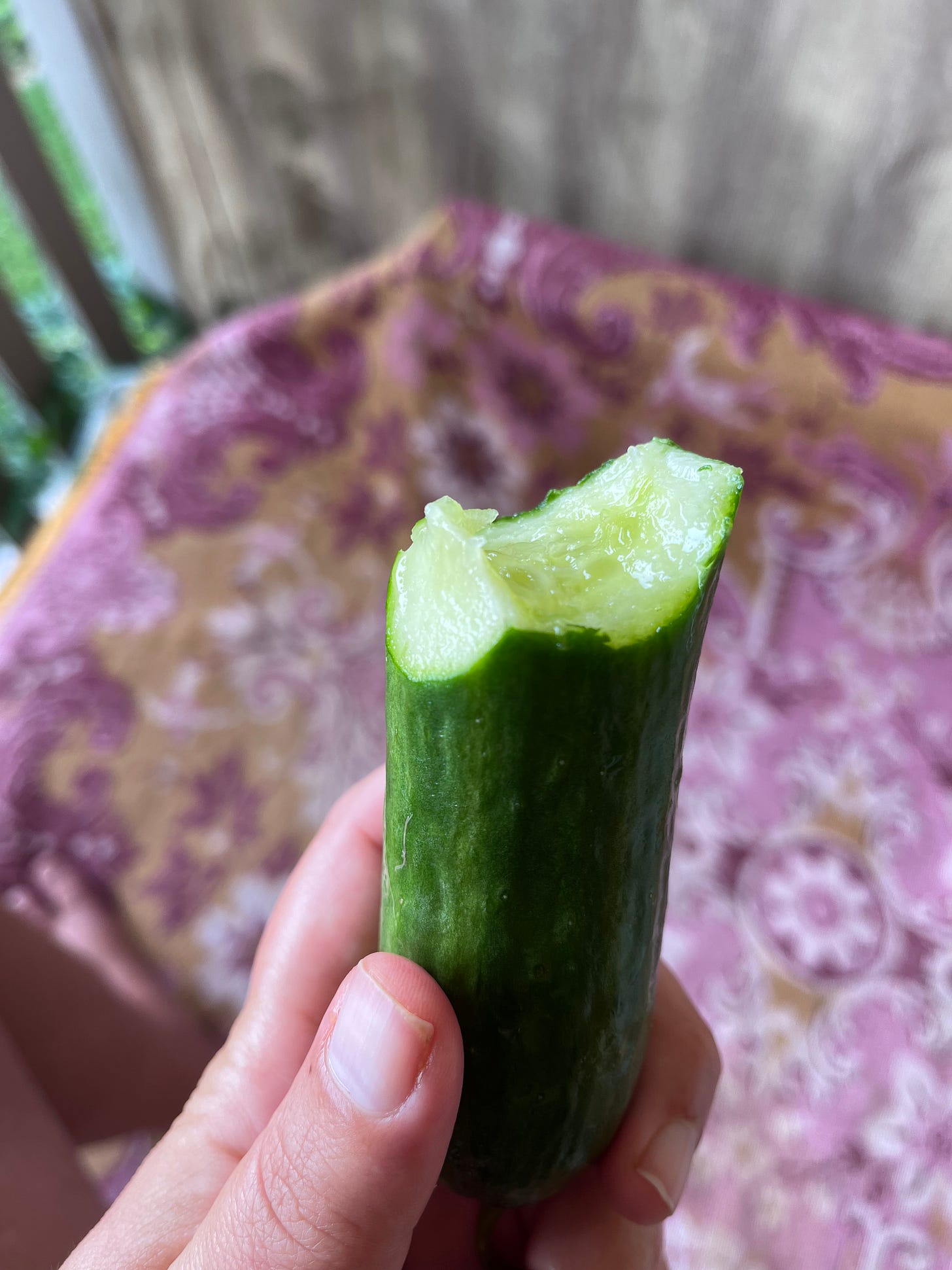 Photo of a cucumber being held, bitten in half