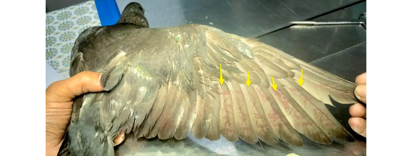 image 5.png