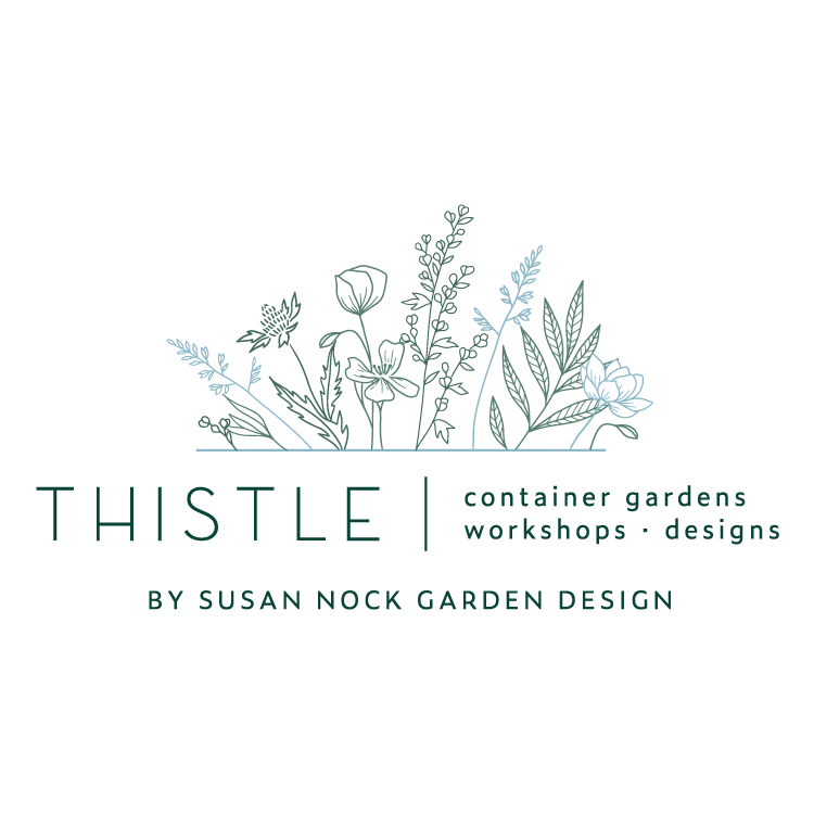Artwork for Thistle