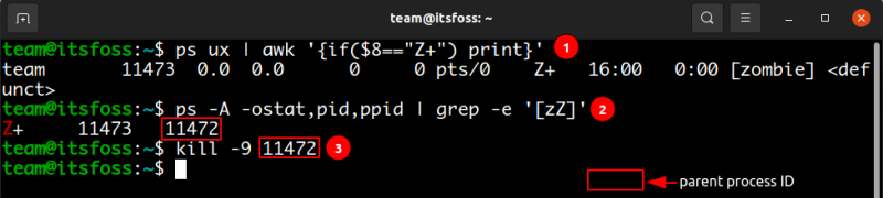 How to Find and Kill Zombie Process in Linux How to Find and Kill Zombie Process in Linux