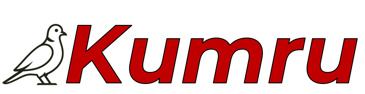 Kumru LLM. This is the story of Kumru, a 7.4B… | by Melikşah Türker | VNGRS  | Sep, 2025 | Medium