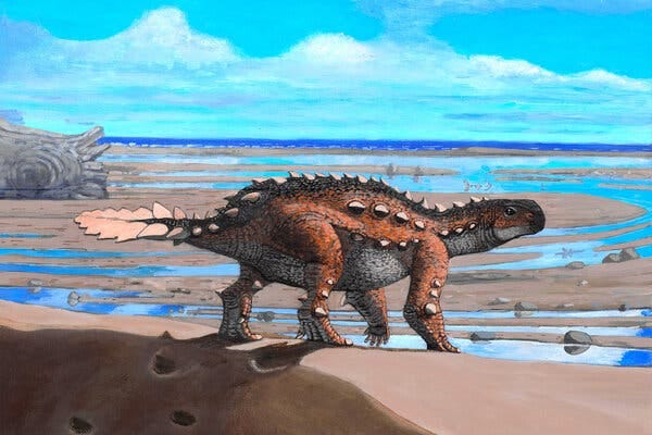This Dinosaur Found in Chile Had a Battle Ax for a Tail - The New York Times