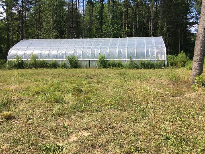 Future turnip patch, High Tunnel in background