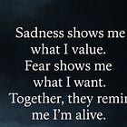 What Fear and Sadness Are Trying to Tell Me