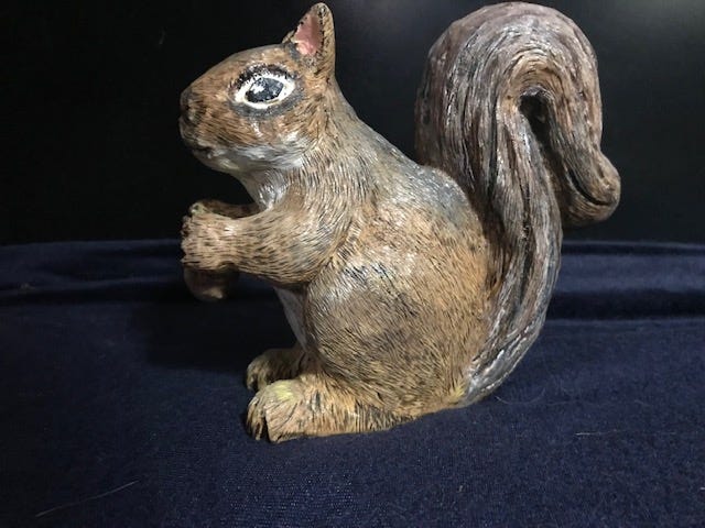 squirrel - janet wolfinger