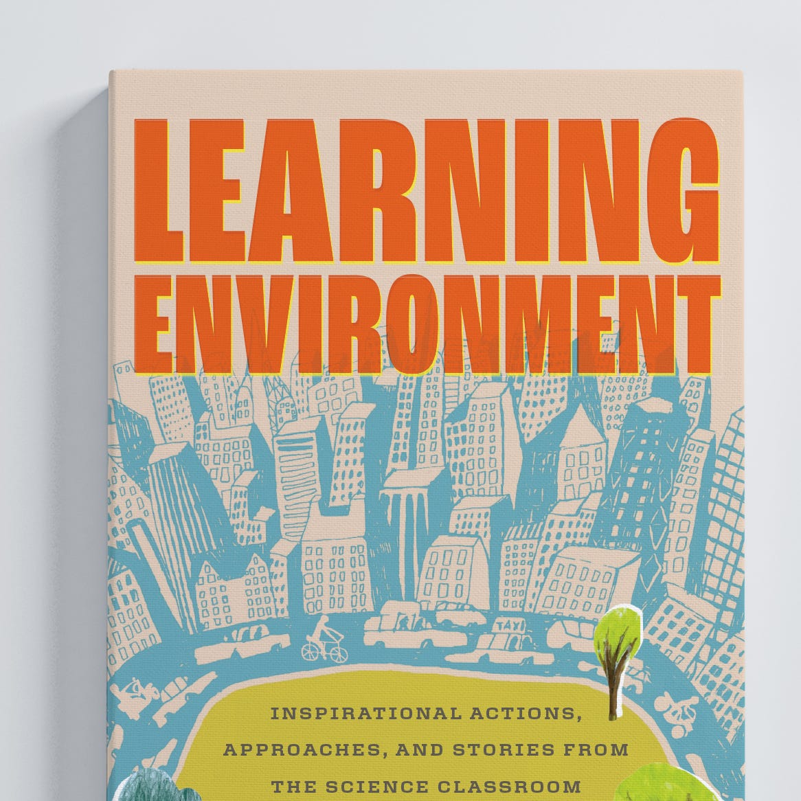 Learning Environment - The Substack