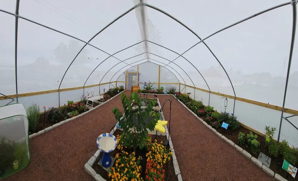 Butterfly-Hoop-House-Planted-Interior-Wide-Angle Butterfly-Hoop-House-Planted-Interior-Wide-Angle