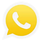 Golden WhatsApp's avatar