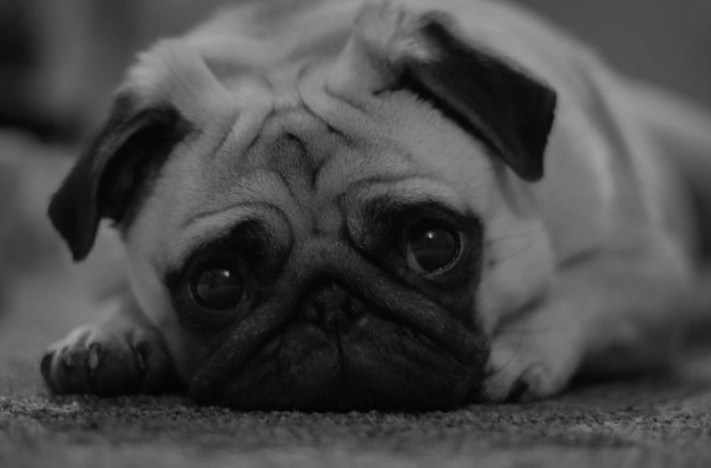 Game 45 wrap: (no spoiler title)