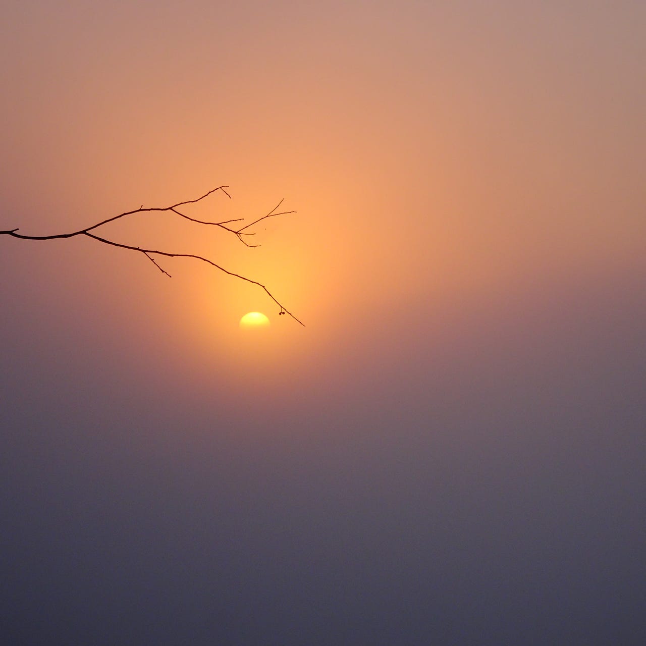 The Ethics of Tenderness