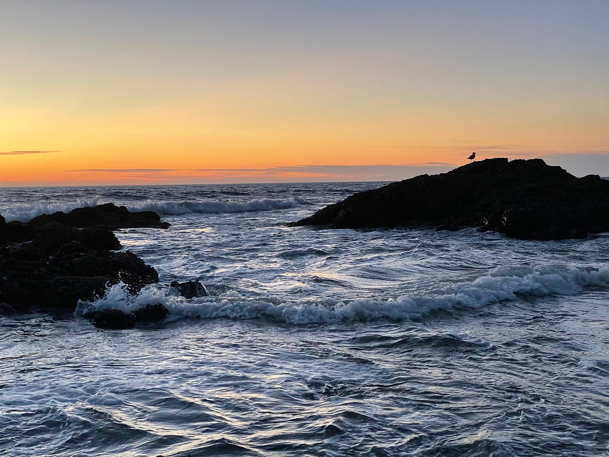 the Oregon Coast at sunset