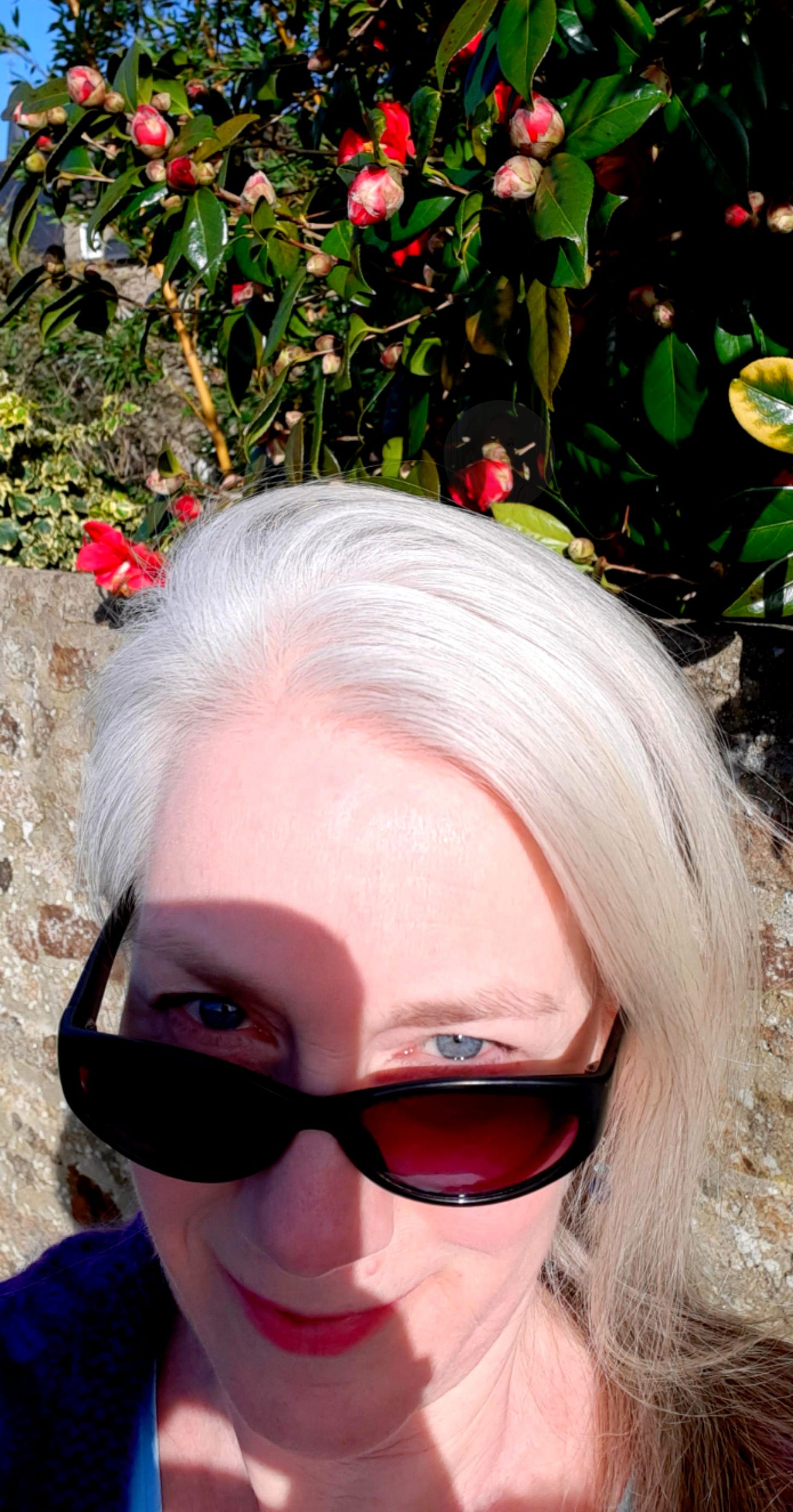 Elizabeth des Roches ©2026 Creatrix Experience