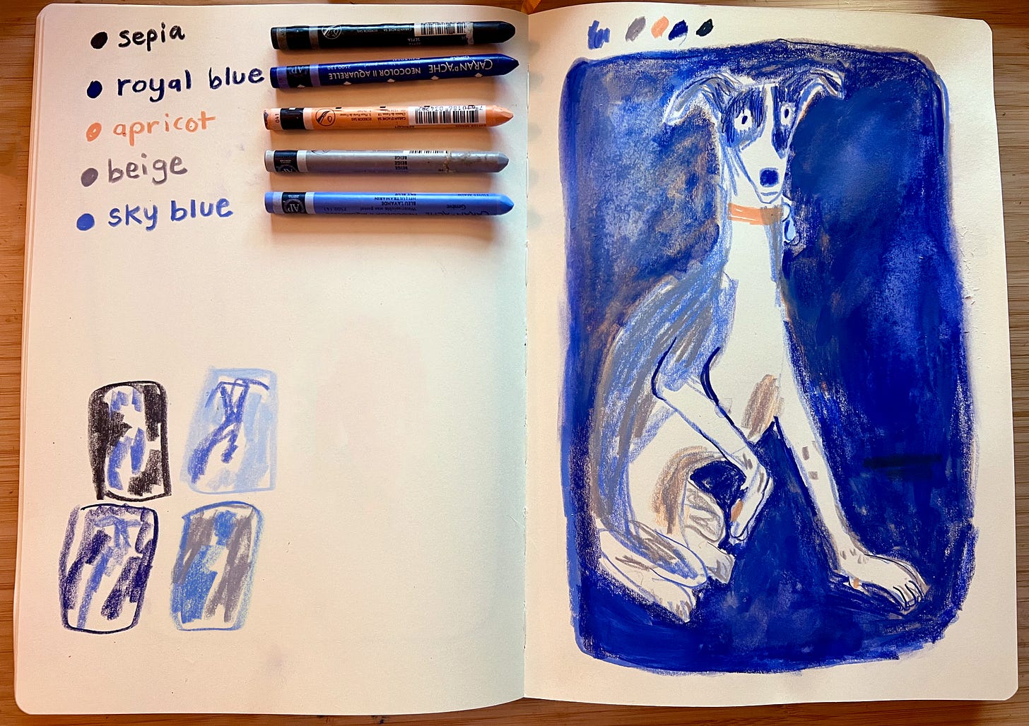 italian greyhound portrait by Beth Spencer