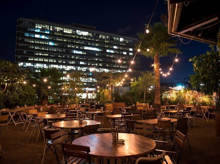 Rooftop bars in Tel Aviv with cocktails and a view