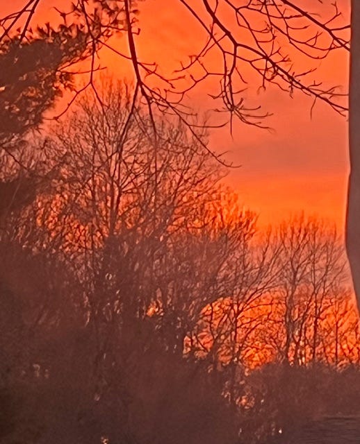 Bare winter trees silhouetted against a deep orange and red sunset sky. Bare winter trees silhouetted against a deep orange and red sunset sky.