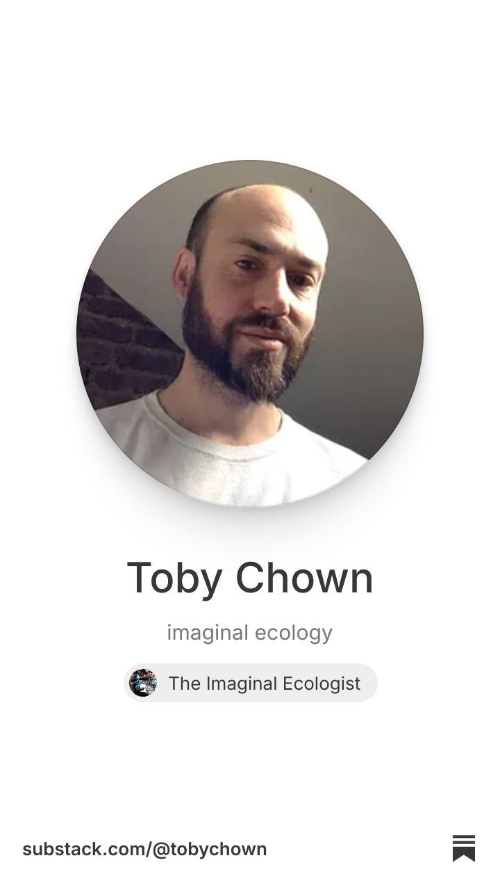 Toby Chown | Substack
