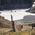 Western Voters Are Sending a Public Lands Warning to Republican Politicians