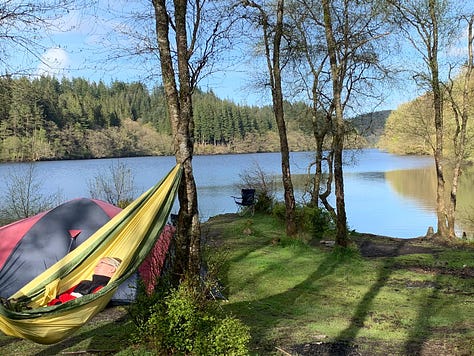The left image is of my hand gently holding the still attached flower of an aster. The middle image is of a cat statue with many different necklaces hanging around it's neck. The right image is of me lying in a hammock at a wild campsite in front of a loch.