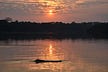 Colombian Amazon Journal