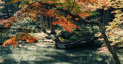 23720e89-a217-465d-a5b0-