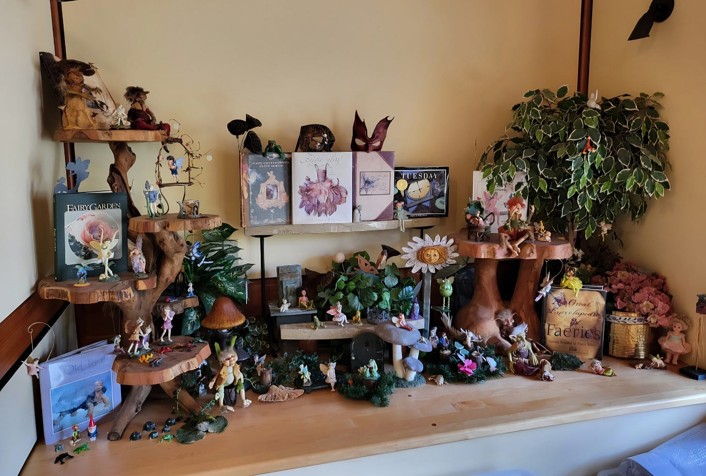 The Fairyland Cassidy's mom had set up in their family home. Wooden shelves covered in plants, fairy figurines, frogs, gnomes, and other magical creatures.