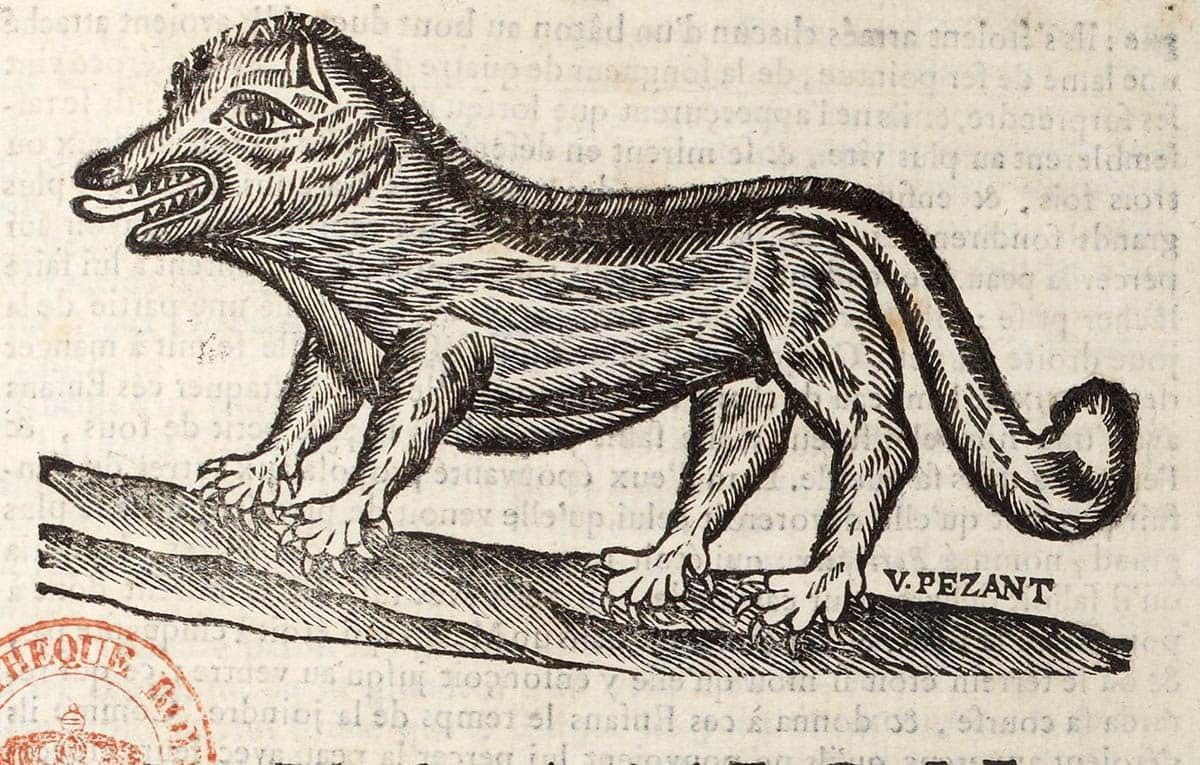 The Beast of Gevaudan: Hunting the Monster of 18th Century France | TheCollector The Beast of Gevaudan: Hunting the Monster of 18th Century France | TheCollector