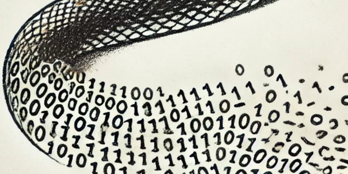 substackcdn.com image