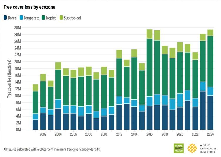 A graph of green and blue bars

AI-generated content may be incorrect.