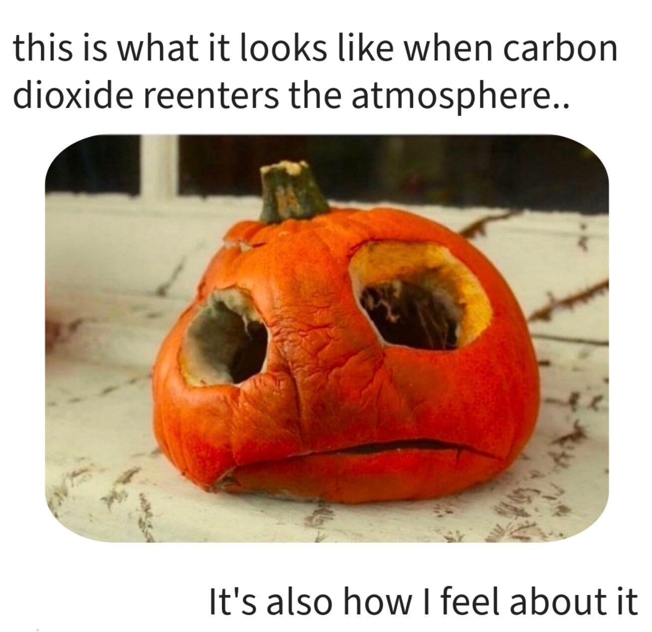 "this is what it looks like when carbon dioxide reenters the atmosphere.." above a photo of a rotting, collapsing jack-o'-lantern, with "It's also how I feel about it" below.