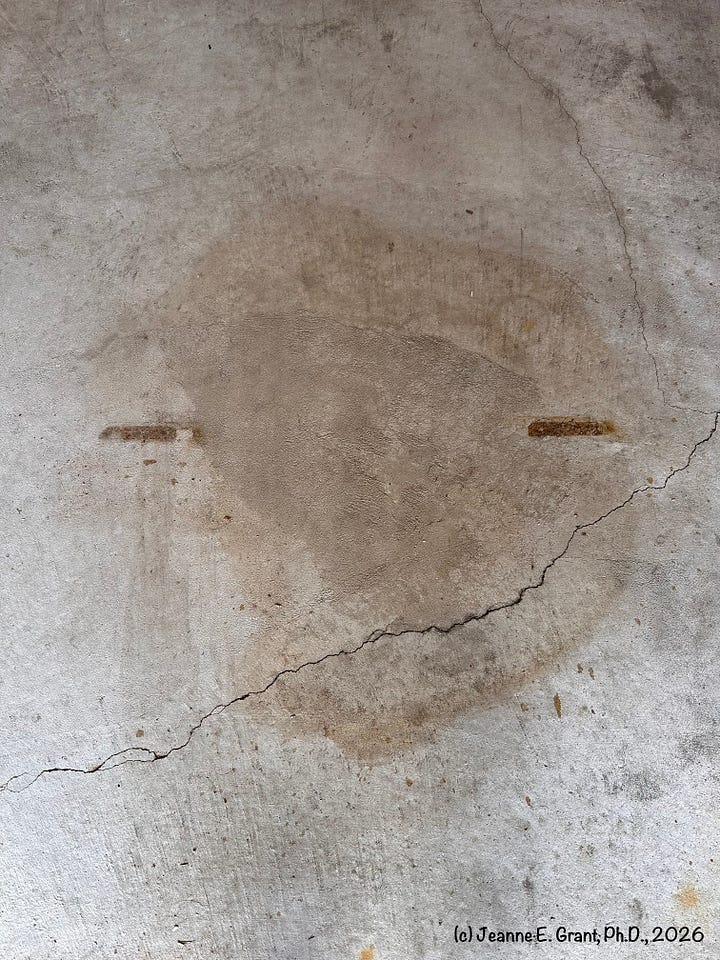 Pieces of sitting on horses in a garage and light brown stain on the floor that resembles a smirking face.
