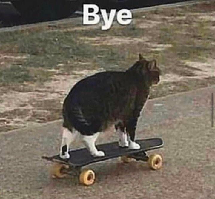 Bye cat template : r/MemeTemplatesOfficial