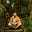 Ash Raymond James's avatar