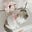 mr kitty's avatar