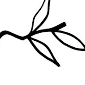 Music To Watch Seeds Grow By